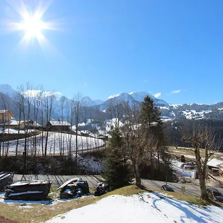 Les Erables Apartment Chateau-d'Oex